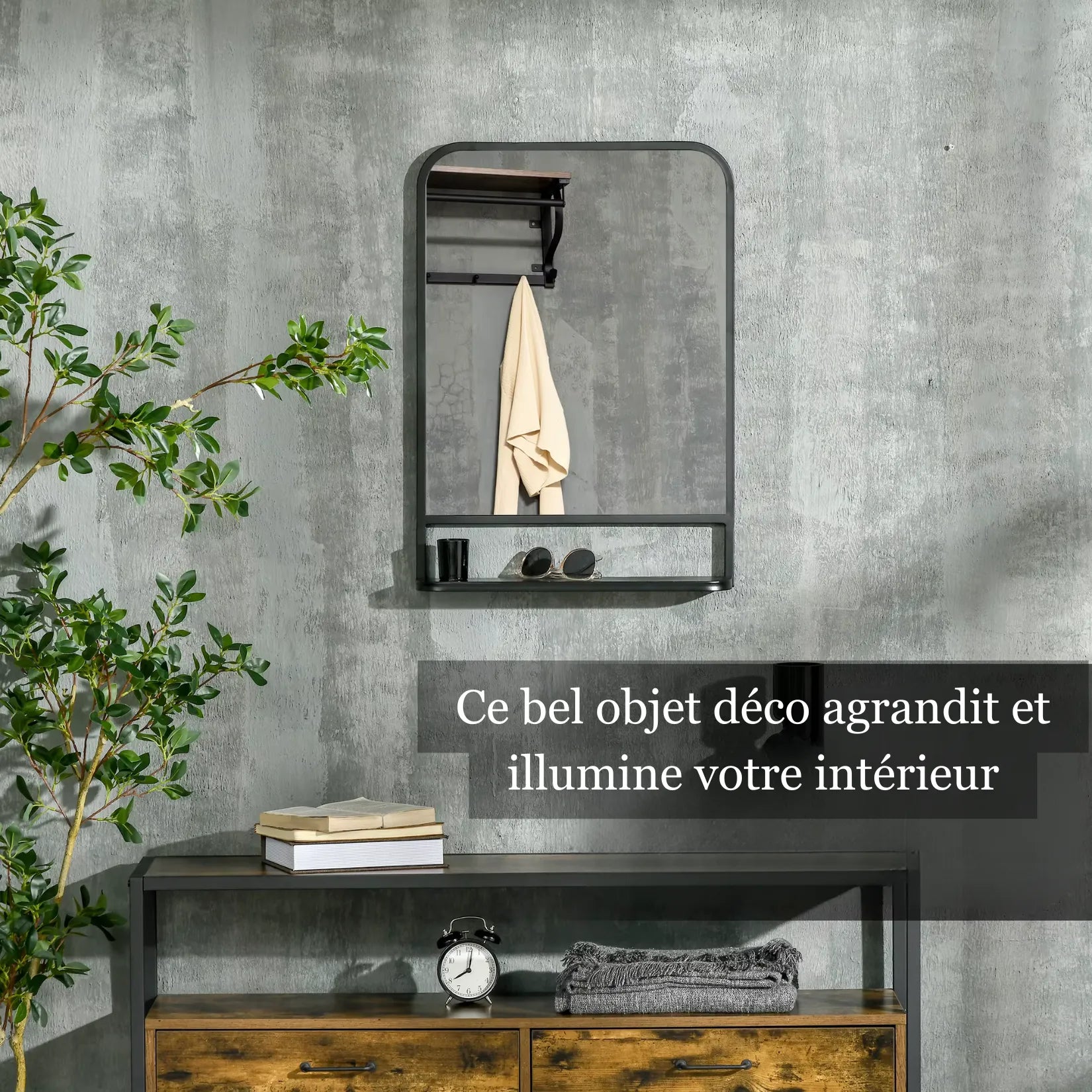 Miroir métal industriel mural sur fond béton avec plante verte.