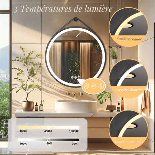 Options de lumière chaude, neutre et blanche avec intensité réglable pour le chauffage miroir LED rond