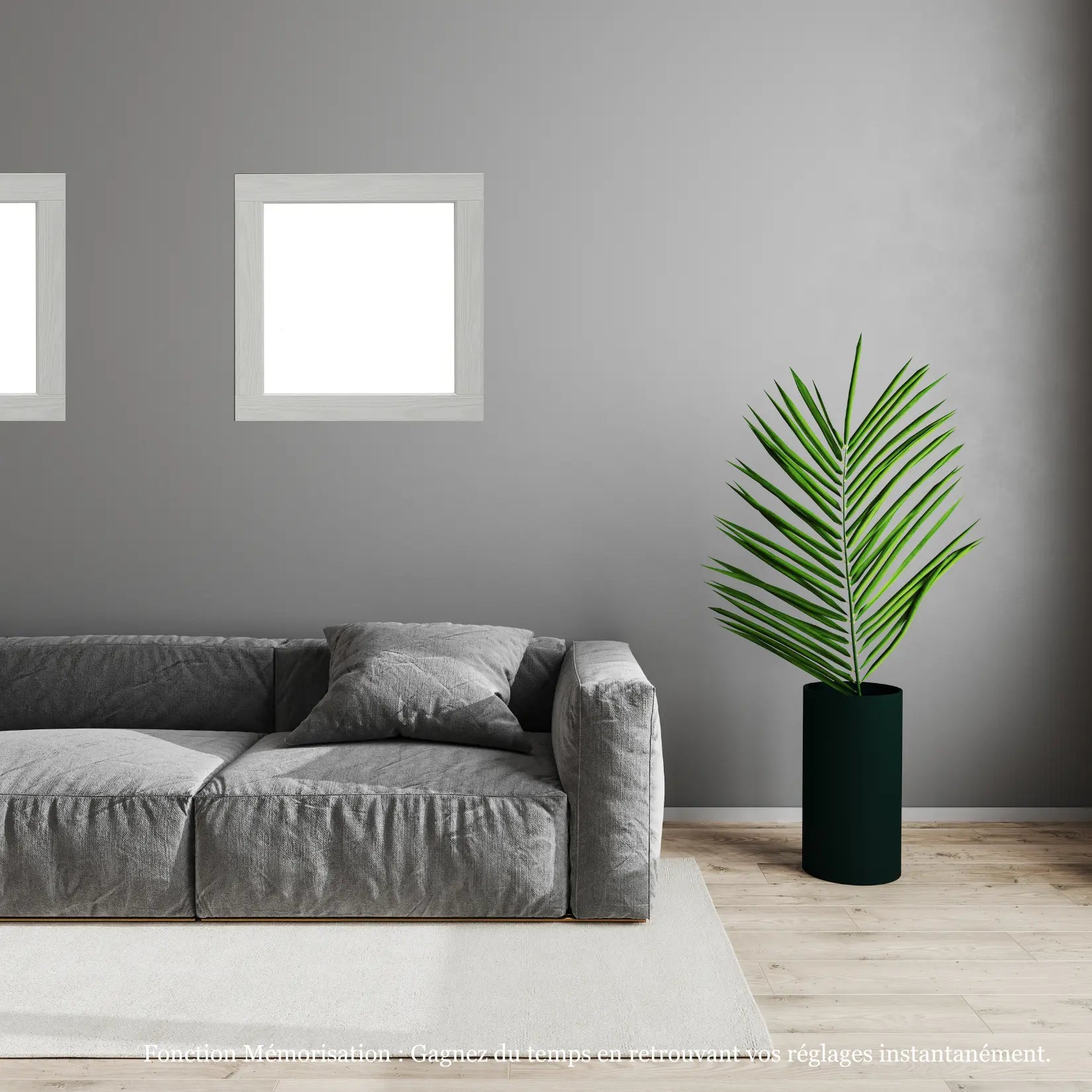 Miroir carré 60x60 cm sur mur gris dans un salon moderne avec plante verte.